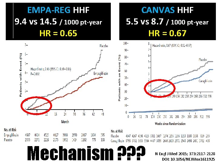 EMPA-REG HHF 9. 4 vs 14. 5 / 1000 pt-year HR = 0. 65