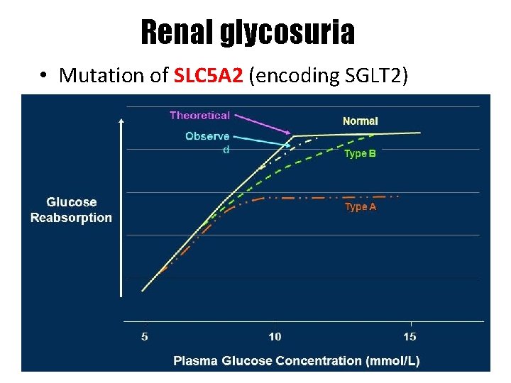 Renal glycosuria • • Mutation of SLC 5 A 2 (encoding SGLT 2) AR