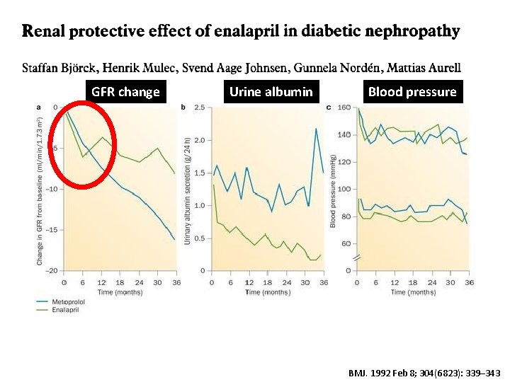 GFR change Urine albumin Blood pressure BMJ. 1992 Feb 8; 304(6823): 339– 343 