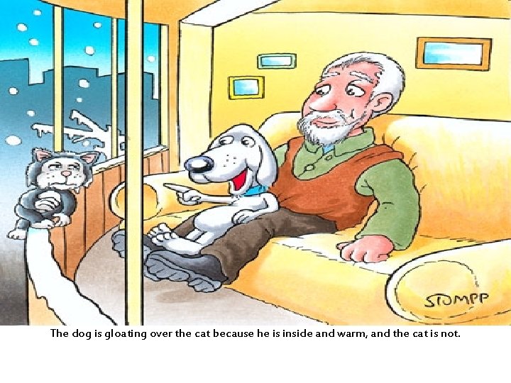 The dog is gloating over the cat because he is inside and warm, and