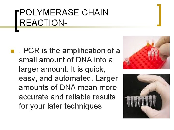 POLYMERASE CHAIN REACTIONn . PCR is the amplification of a small amount of DNA