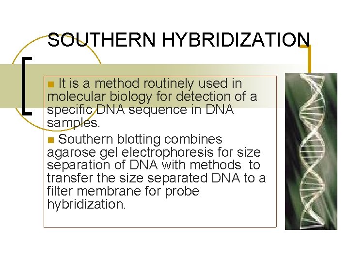 SOUTHERN HYBRIDIZATION It is a method routinely used in molecular biology for detection of