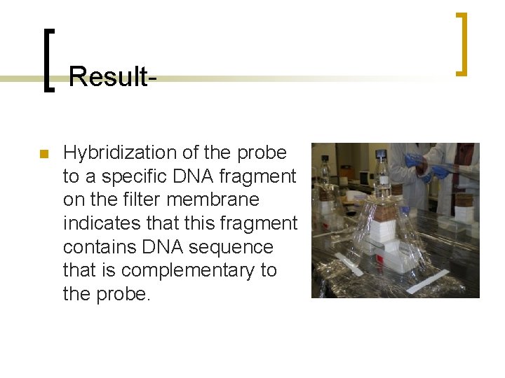 Resultn Hybridization of the probe to a specific DNA fragment on the filter membrane