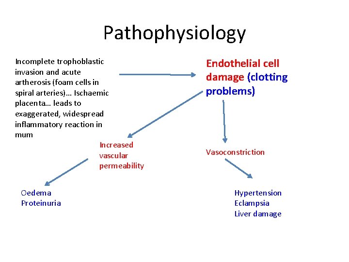 Pathophysiology Incomplete trophoblastic invasion and acute artherosis (foam cells in spiral arteries)… Ischaemic placenta…