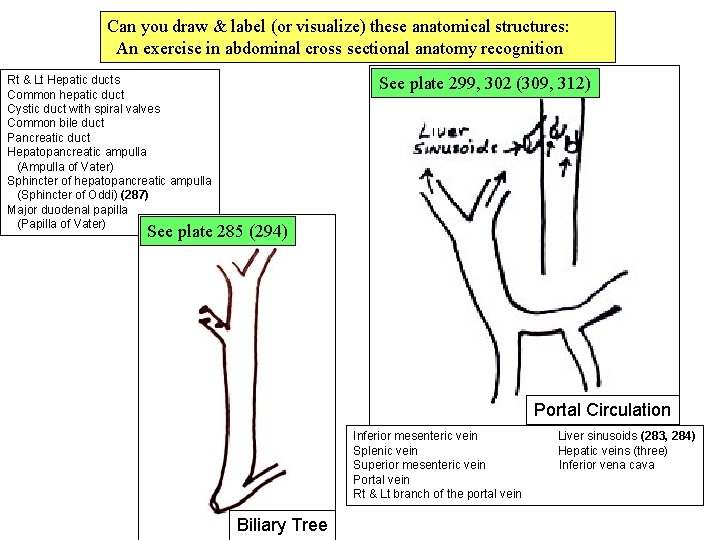 Biliiary & Portal Drawings Can you draw & label (or visualize) these anatomical structures: