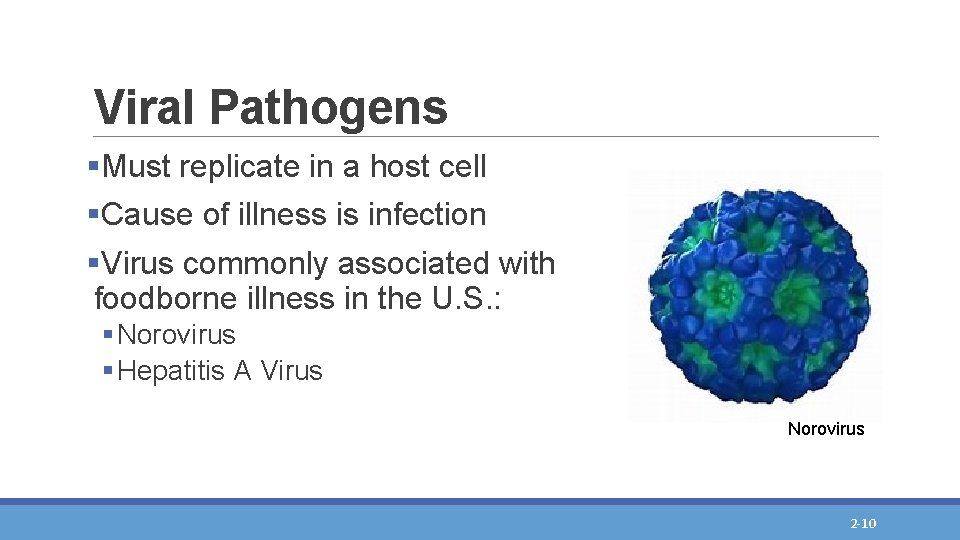 Viral Pathogens §Must replicate in a host cell §Cause of illness is infection §Virus