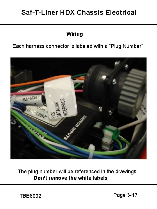 Saf-T-Liner HDX Chassis Electrical Wiring Each harness connector is labeled with a “Plug Number”