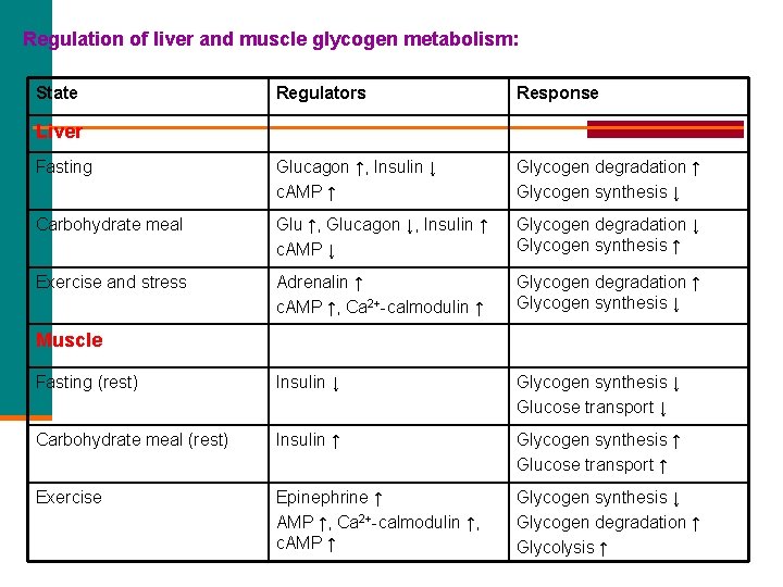 Regulation of liver and muscle glycogen metabolism: State Regulators Response Fasting Glucagon ↑, Insulin