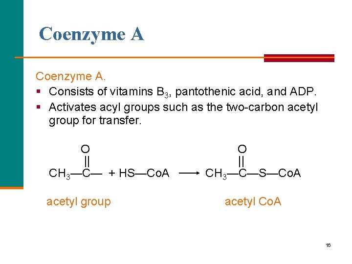 Coenzyme A. § Consists of vitamins B 3, pantothenic acid, and ADP. § Activates