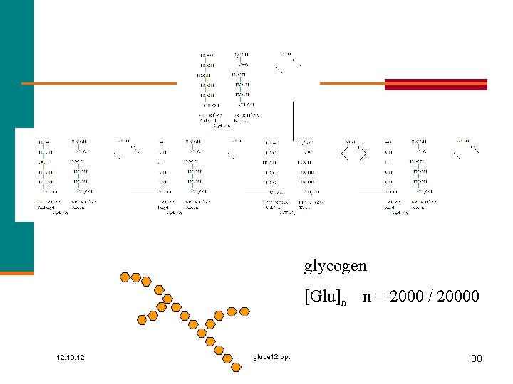 glycogen [Glu]n n = 2000 / 20000 12. 10. 12 gluce 12. ppt 80