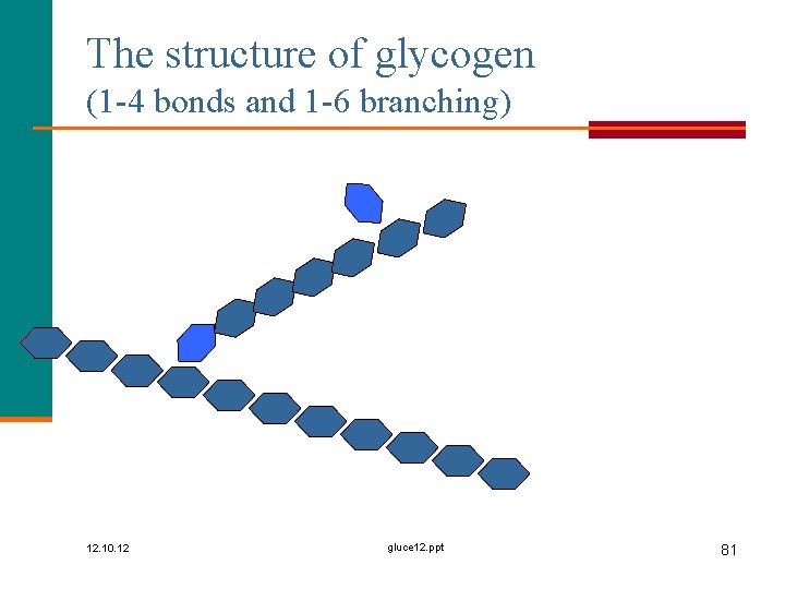 The structure of glycogen (1 -4 bonds and 1 -6 branching) 12. 10. 12