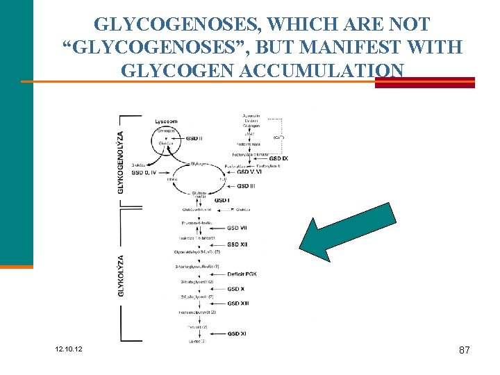 GLYCOGENOSES, WHICH ARE NOT “GLYCOGENOSES”, BUT MANIFEST WITH GLYCOGEN ACCUMULATION 12. 10. 12 gluce