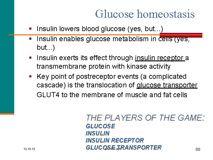 Glucose homeostasis § Insulin lowers blood glucose (yes, but. . . ) § Insulin