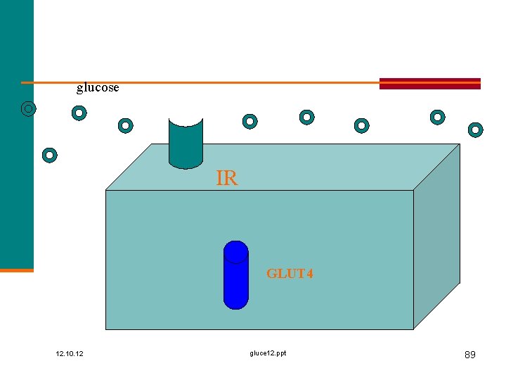 glucose IR GLUT 4 12. 10. 12 gluce 12. ppt 89 