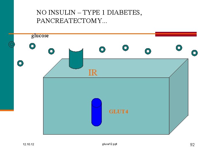 NO INSULIN – TYPE 1 DIABETES, PANCREATECTOMY. . . glucose IR GLUT 4 12.