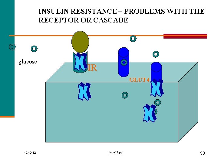 INSULIN RESISTANCE – PROBLEMS WITH THE RECEPTOR OR CASCADE glucose IR GLUT 4 12.