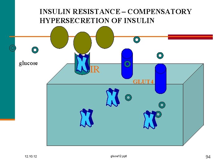 INSULIN RESISTANCE – COMPENSATORY HYPERSECRETION OF INSULIN glucose IR GLUT 4 12. 10. 12