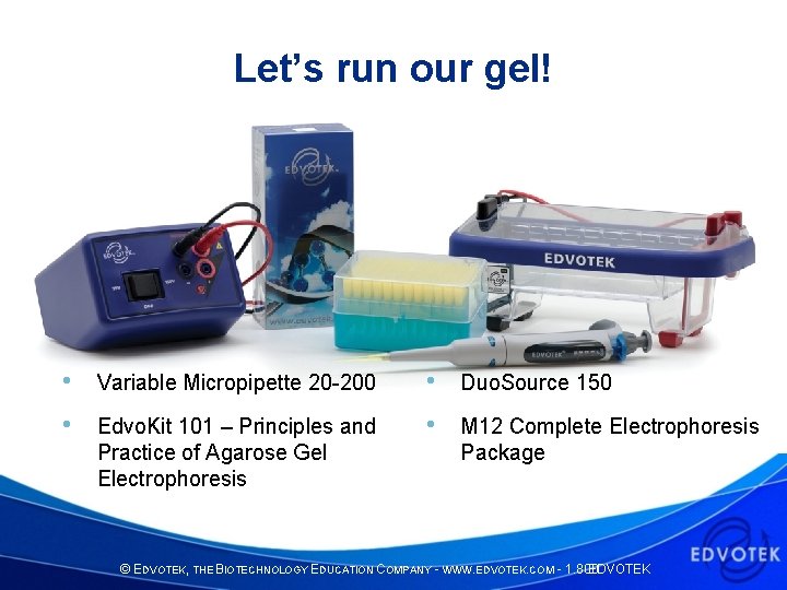 Let’s run our gel! • Variable Micropipette 20 -200 • Duo. Source 150 •