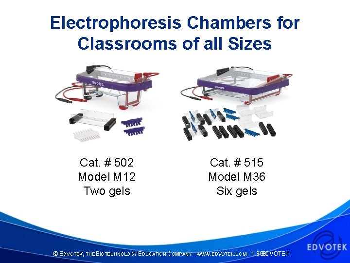 Electrophoresis Chambers for Classrooms of all Sizes Cat. # 502 Model M 12 Two