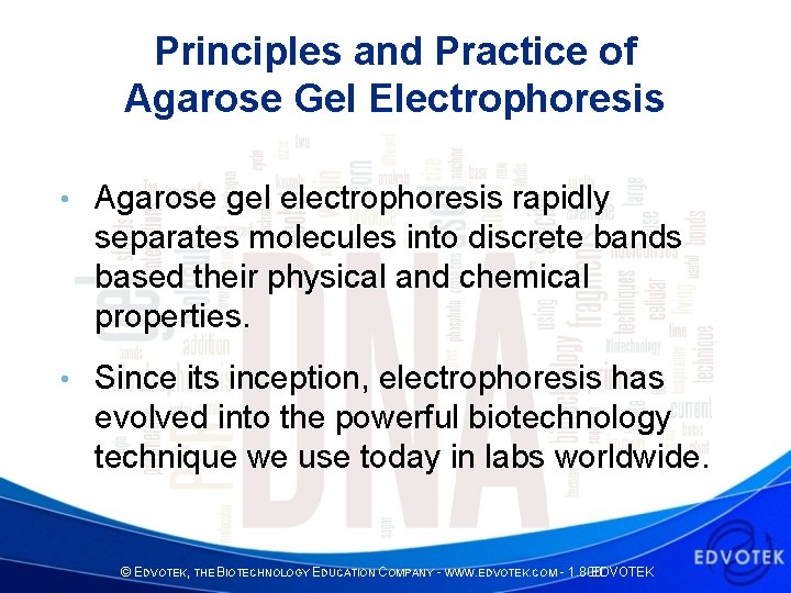 Principles and Practice of Agarose Gel Electrophoresis • Agarose gel electrophoresis rapidly separates molecules