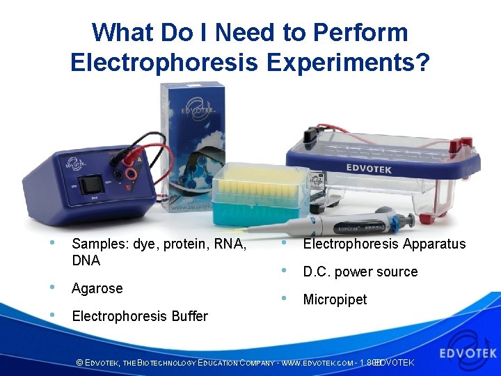 What Do I Need to Perform Electrophoresis Experiments? • Samples: dye, protein, RNA, DNA