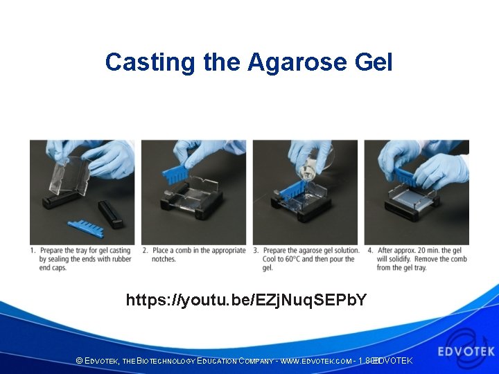 Casting the Agarose Gel https: //youtu. be/EZj. Nuq. SEPb. Y © EDVOTEK, THE BIOTECHNOLOGY