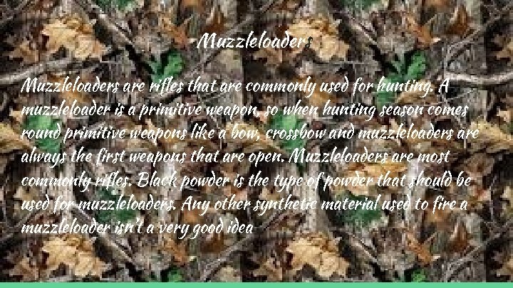 Muzzleloaders are rifles that are commonly used for hunting. A muzzleloader is a primitive