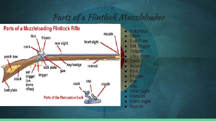 Parts of a Flintlock Muzzleloader ● ● ● ● Patchbox Stock Butt Plate Set