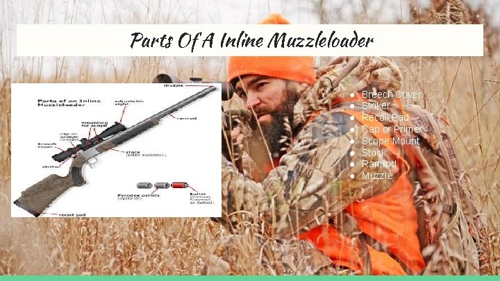 Parts Of A Inline Muzzleloader ● ● ● ● Breech Cover Striker Recoil Pad