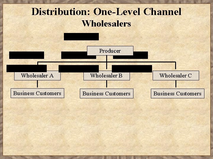 Distribution: One-Level Channel Wholesalers Producer Wholesaler A Wholesaler B Wholesaler C Business Customers 
