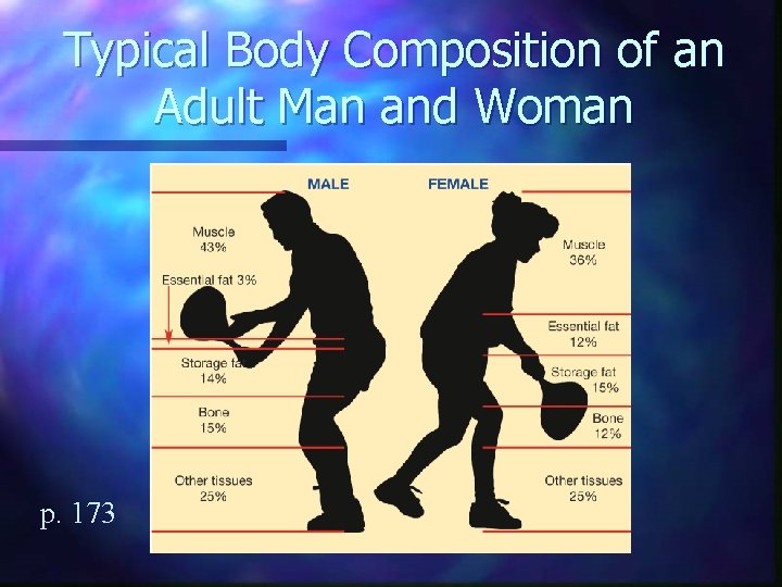 Typical Body Composition of an Adult Man and Woman p. 173 