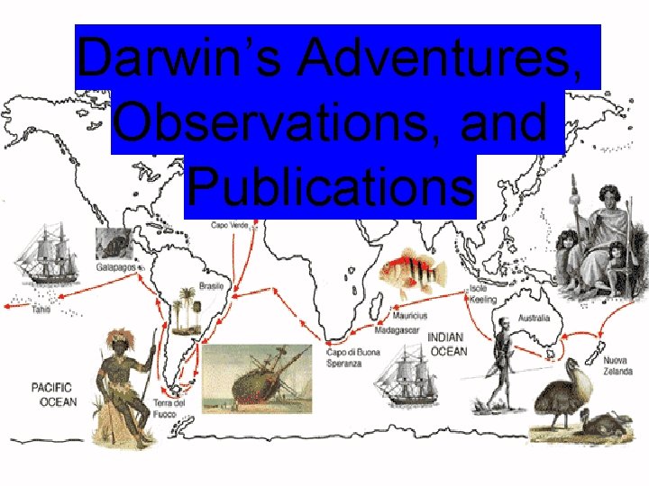 Darwin’s Adventures, Observations, and Publications 
