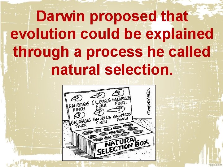 Darwin proposed that evolution could be explained through a process he called natural selection.