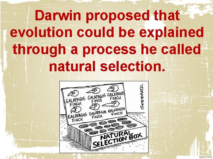 Darwin proposed that evolution could be explained through a process he called natural selection.