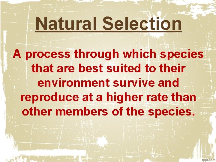 Natural Selection A process through which species that are best suited to their environment