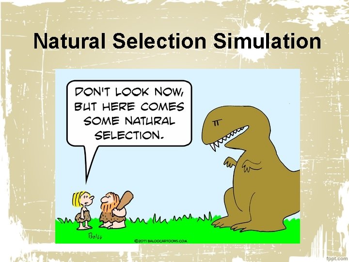 Natural Selection Simulation 