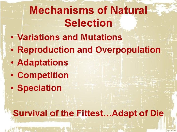 Mechanisms of Natural Selection • • • Variations and Mutations Reproduction and Overpopulation Adaptations