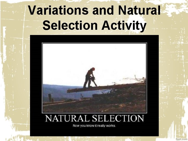 Variations and Natural Selection Activity 