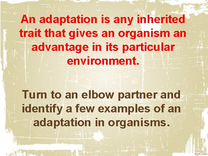 An adaptation is any inherited trait that gives an organism an advantage in its