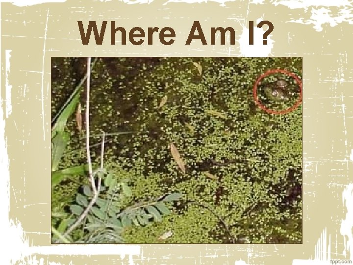Where Am I? 