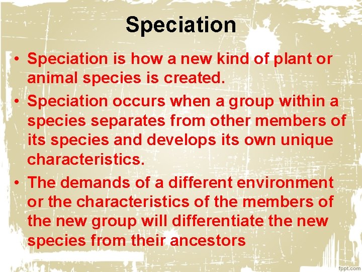 Speciation • Speciation is how a new kind of plant or animal species is