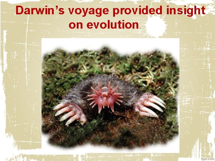 Darwin’s voyage provided insight on evolution. 