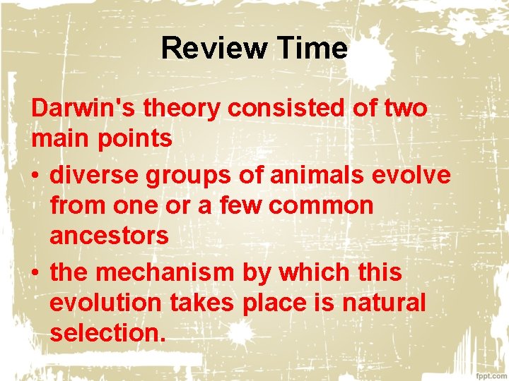Review Time Darwin's theory consisted of two main points • diverse groups of animals