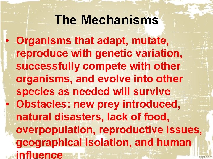 The Mechanisms • Organisms that adapt, mutate, reproduce with genetic variation, successfully compete with