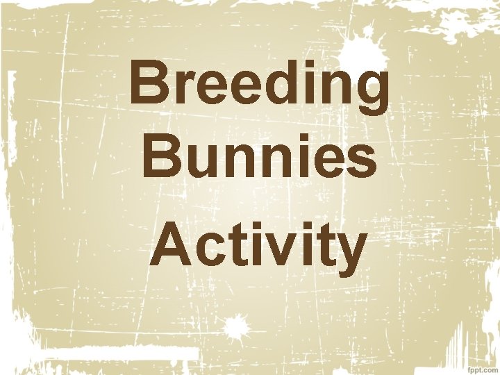 Breeding Bunnies Activity 