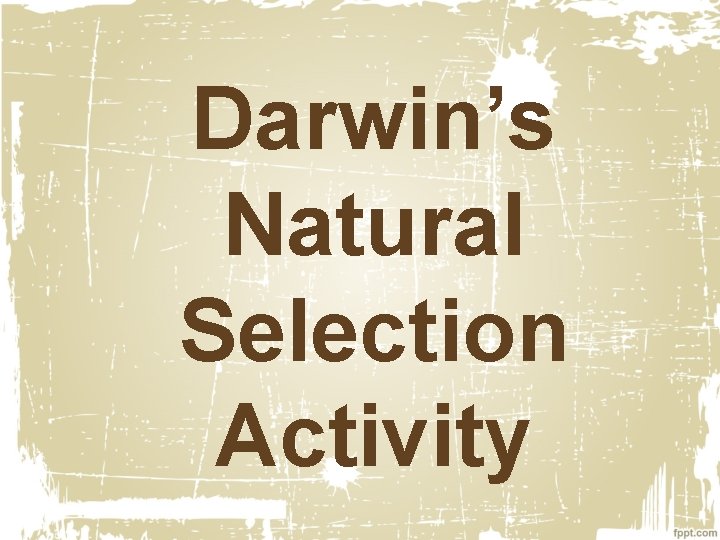 Darwin’s Natural Selection Activity 