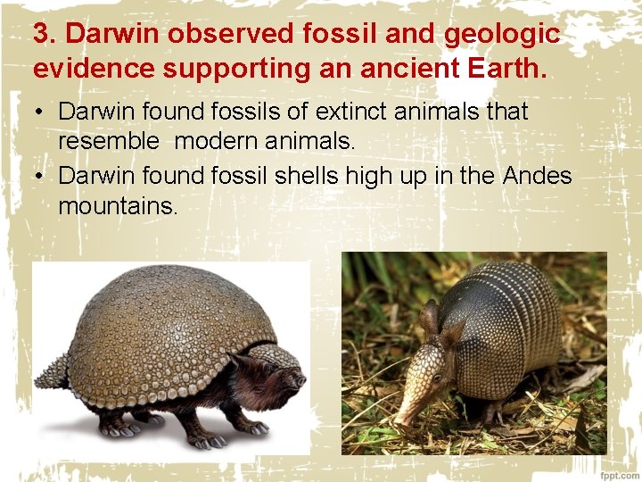 3. Darwin observed fossil and geologic evidence supporting an ancient Earth. • Darwin found