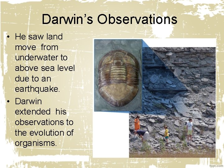 Darwin’s Observations • He saw land move from underwater to above sea level due