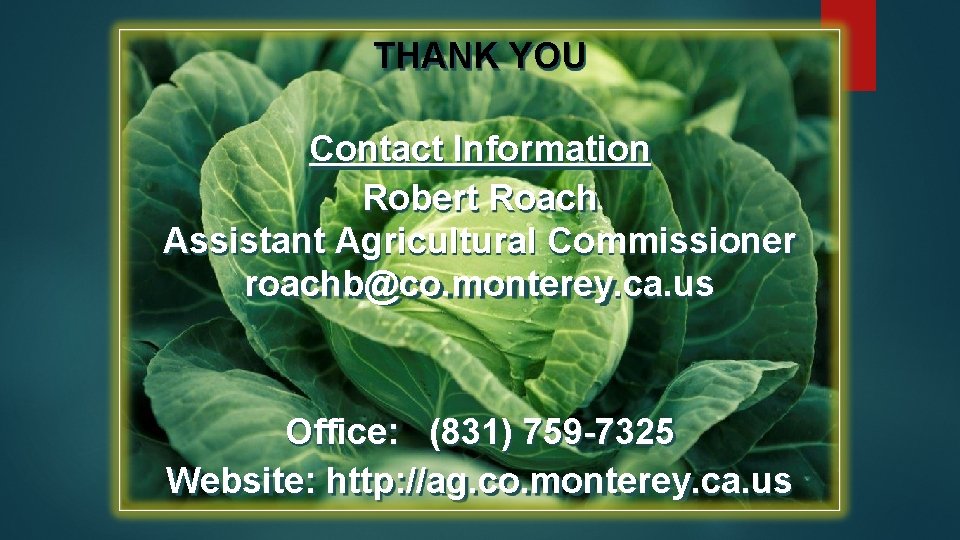 THANK YOU Contact Information Robert Roach Assistant Agricultural Commissioner roachb@co. monterey. ca. us Office:
