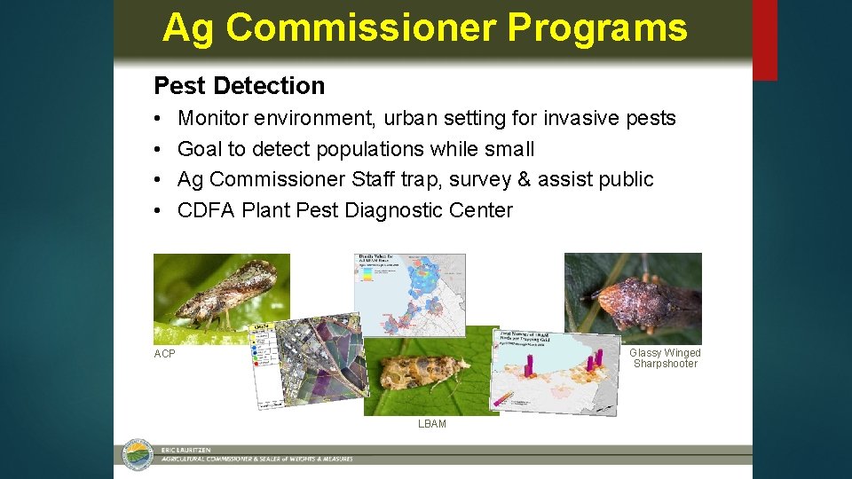 Ag Commissioner Programs Pest Detection • • Monitor environment, urban setting for invasive pests